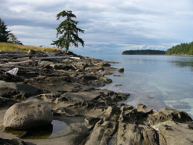 P1010406