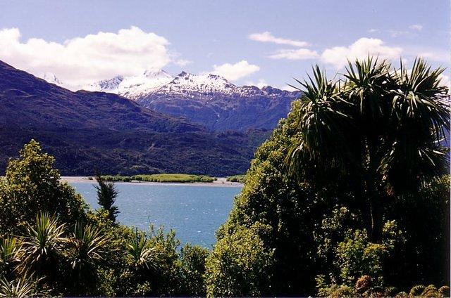 NZ03