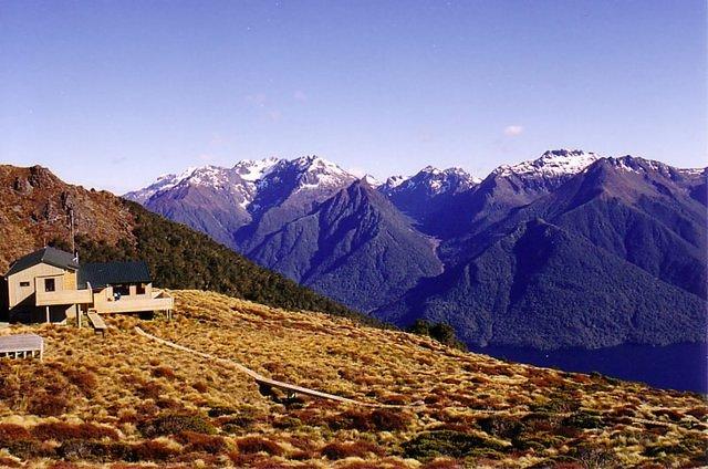 NZ05
