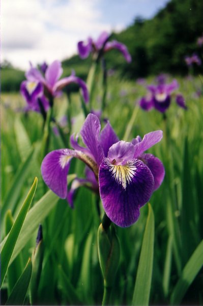 AC10