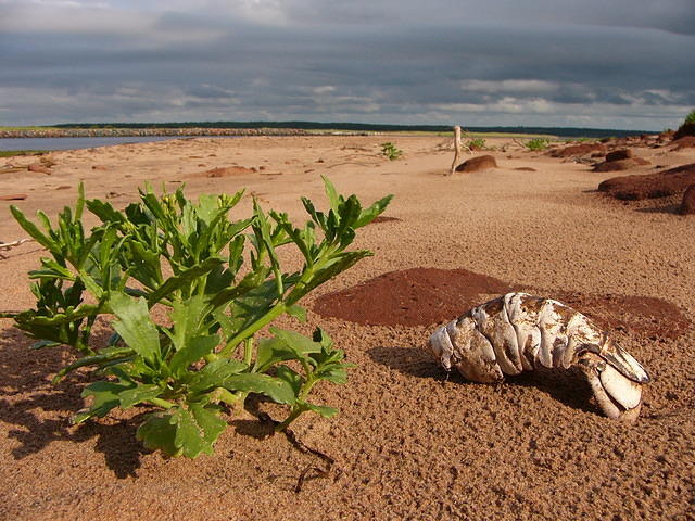 P1050882