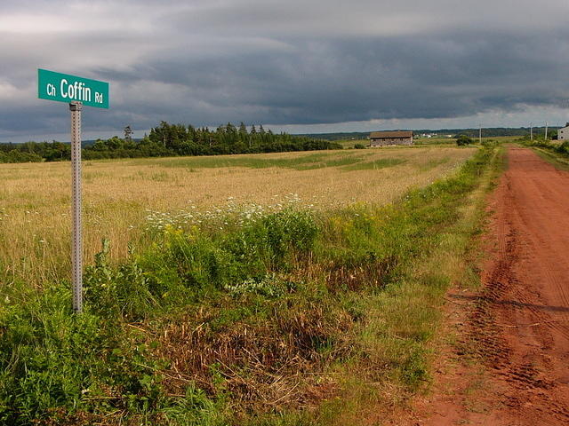 P1050899