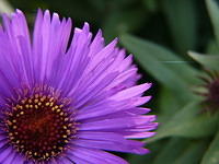 P1050473